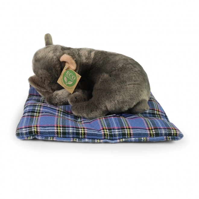 Bulldog Francez de pluș eco-friendly
