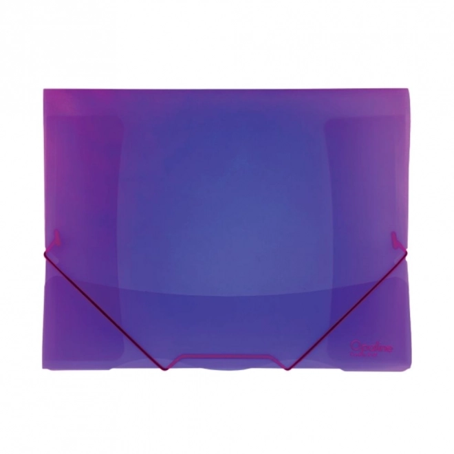 Mapă cu elastic Opaline violet