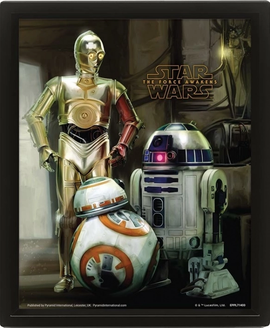 Tablou 3D Star Wars (Droidi)