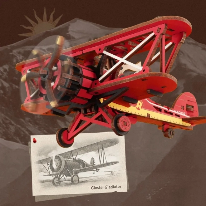 Model 3D de biplan din lemn cu pendul