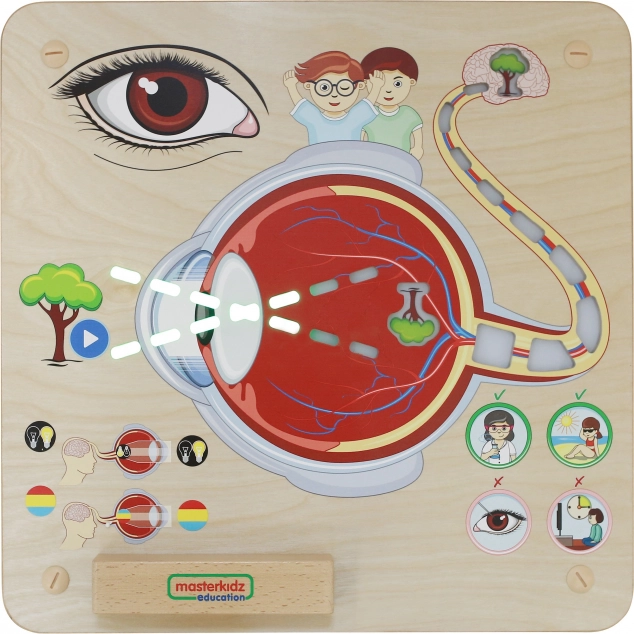 Tablă Educațională Masterkidz Vedere Montessori