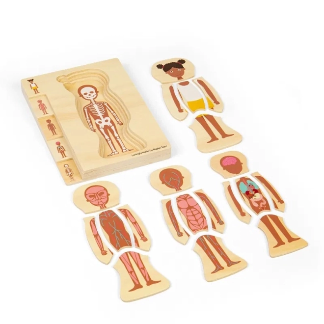 Puzzle din lemn Anatomia fetei