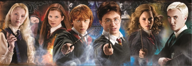 Puzzle 1000 piese Panorama Harry Potter: Studenți