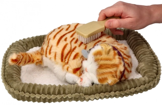 Adoptă-mă Pisoi respirant tigrat roșcat