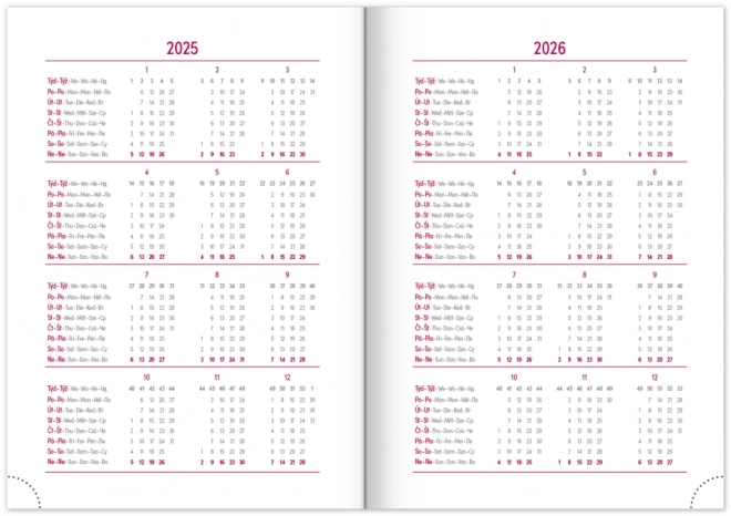 Diario zilnic Aprint 2025 albastru