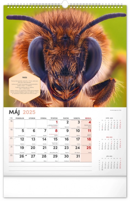 Calendar de perete apicol 2025