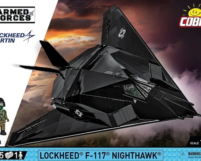 Model F-117 Nighthawk cu 795 piese