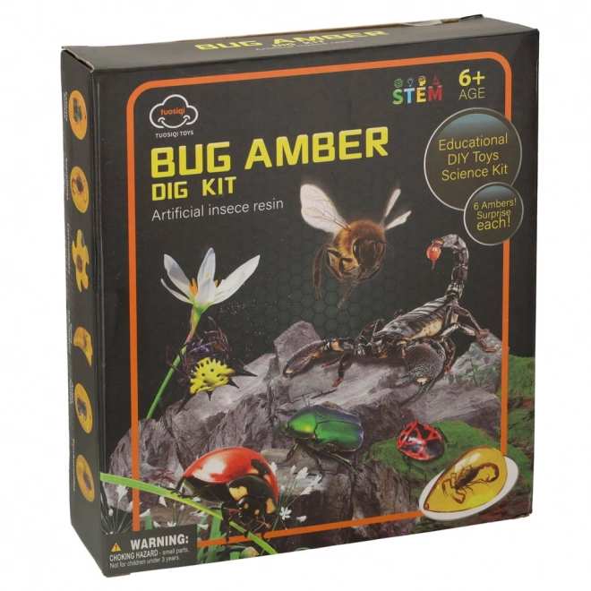 Set educativ arheologic descoperă insecte în chihlimbar