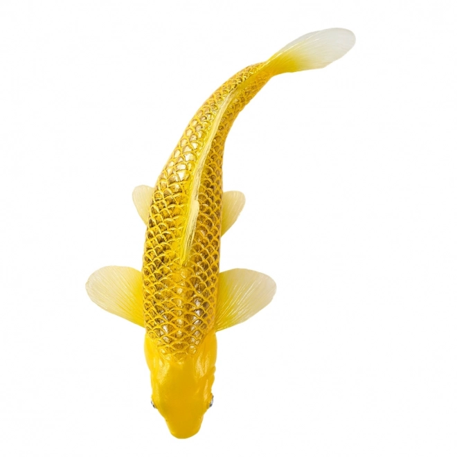 Mojo crap koi Matsuba