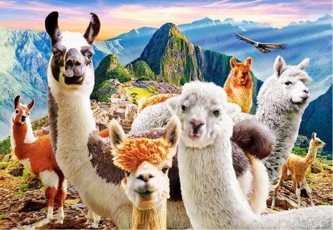 Puzzle cu 200 de piese Llamas Selfie