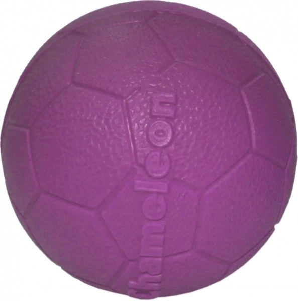 Minge de fotbal Chameleon