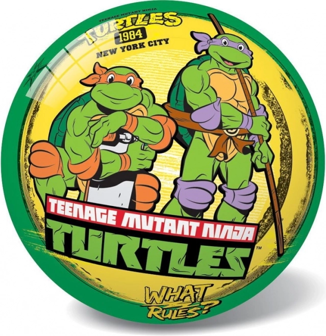 Minge Țestoasele Ninja retro 23 cm