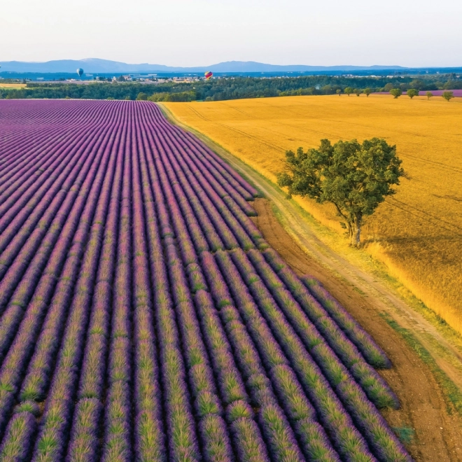 Calendar de notițe Provence 2026