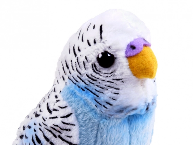 Mascota papagal albastru