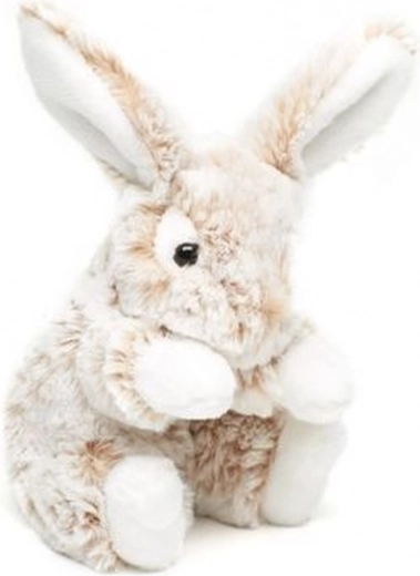 Dimensiune ideală 20 cm