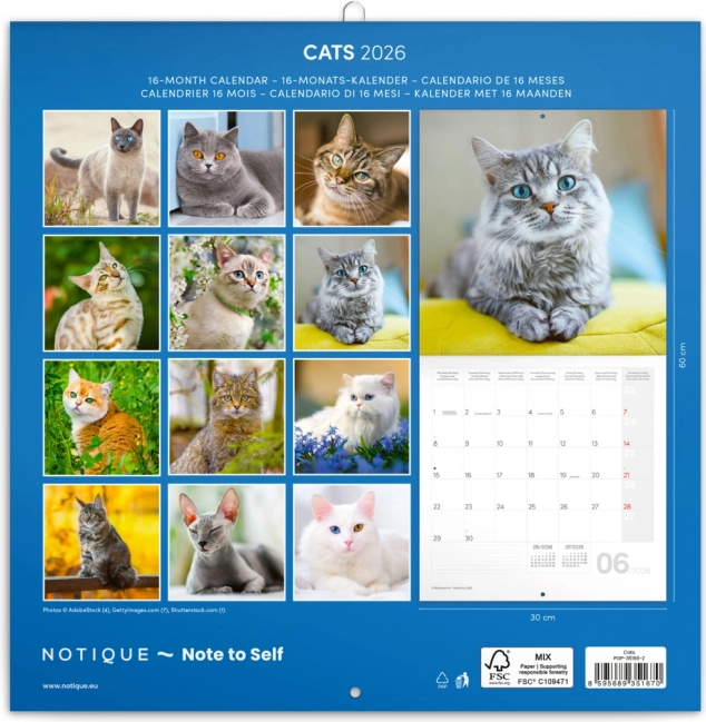 Calendar de notițe Pisici 2026