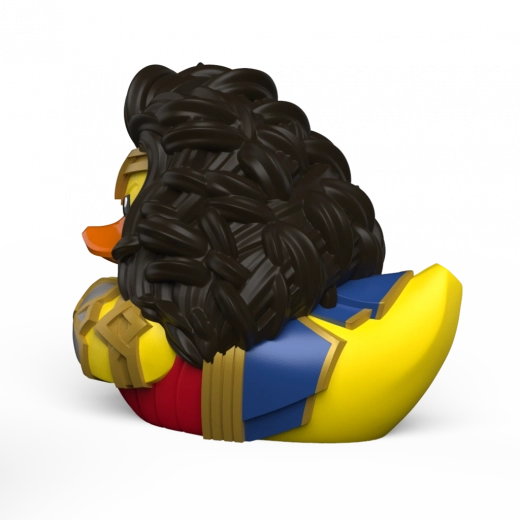 Ideală pentru expunere