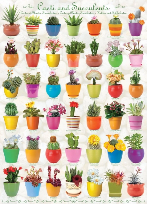 Puzzle cactuși și suculente 1000 piese