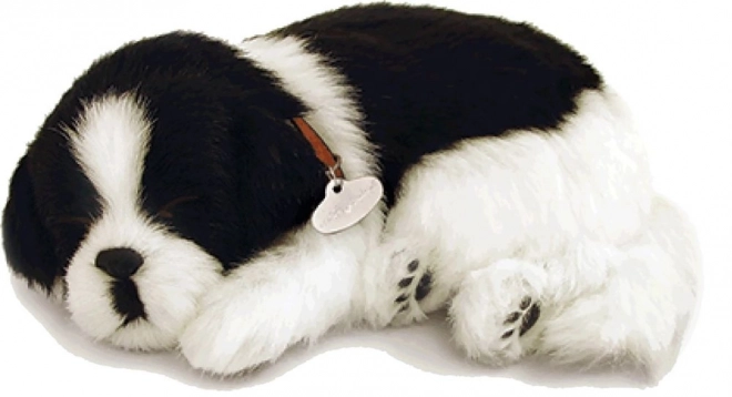 Border Collie respirație jucărie de pluș adoptabilă