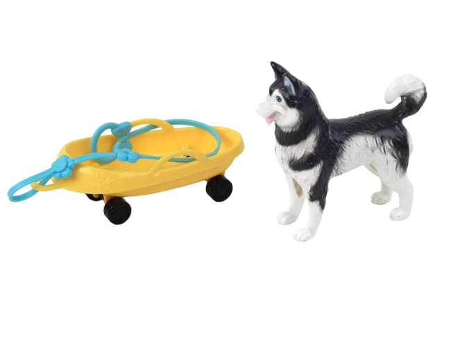 Câinele Husky ca însoțitor fidel