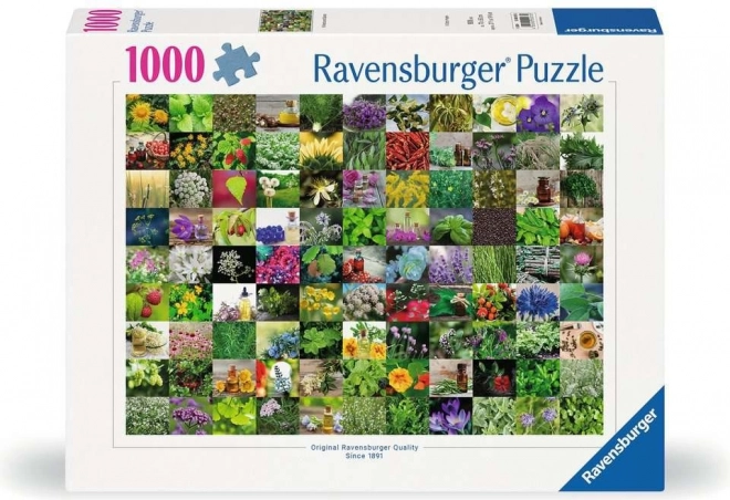 Puzzle RAVENSBURGER 1000 Piese Cu Pisici