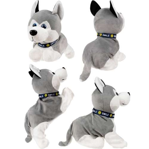 Pui interactiv Husky