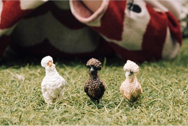 Trei variante de culoare pentru diferențiere ușoară