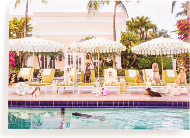 Puzzle La piscină în Palm Beach 1000 de piese