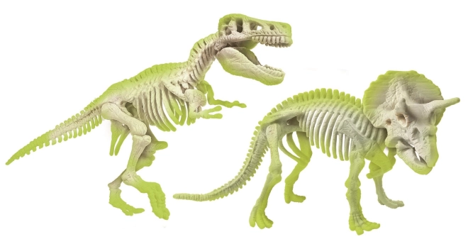 Schelete luminoase de dinozauri