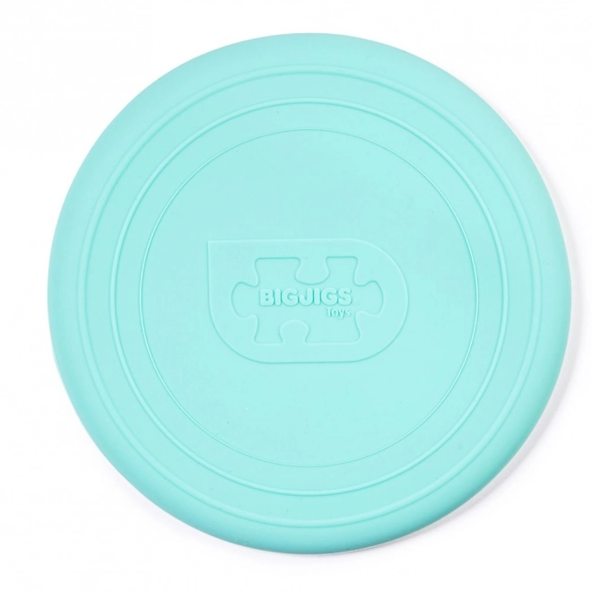 Frisbee Verde Bigjigs Toys