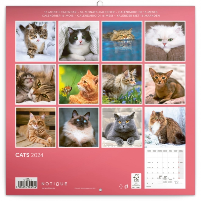 Calendar de perete pisici 2024