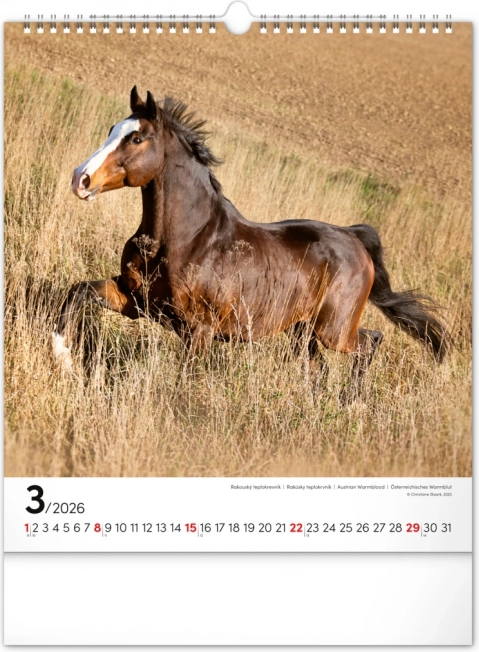 Calendar de perete Cai 2026