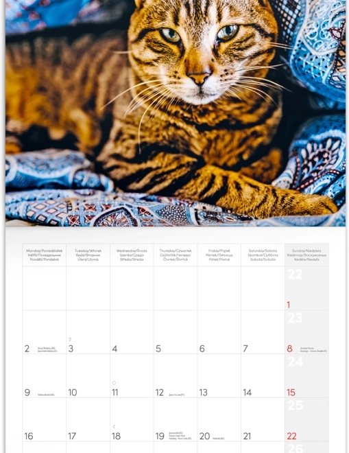 Calendar de notițe clar și bine structurat
