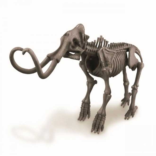 Model de schelet de mamut asamblabil