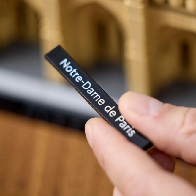 Notre-dame din paris
