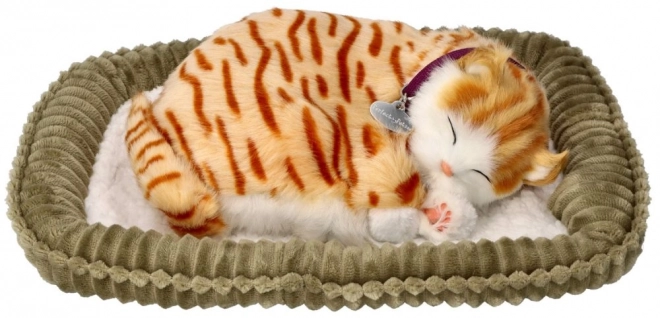 Adoptă-mă Pisoi respirant tigrat roșcat