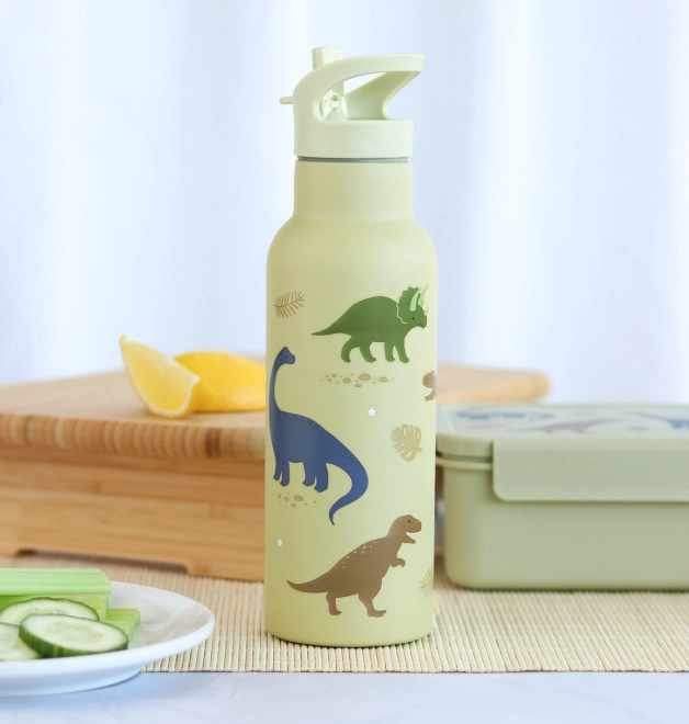 Sticlă din oțel inoxidabil pentru băut, 500 ml - Dinozauri