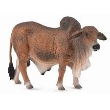Taur brahman roșu