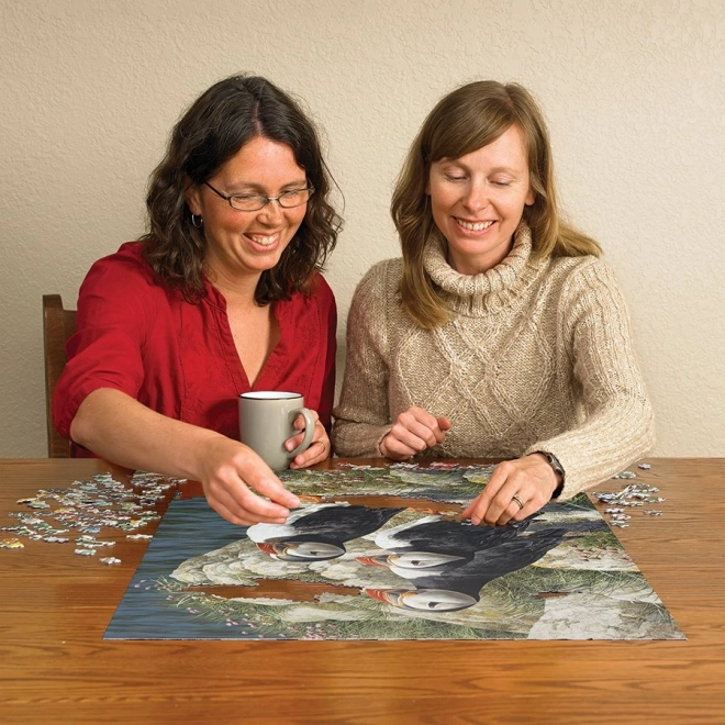 Puzzle Papagal Cobble Hill 500 piese