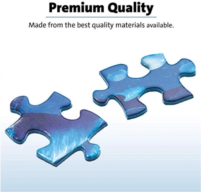 Puzzle Grădini Minunate Ravensburger 4x500