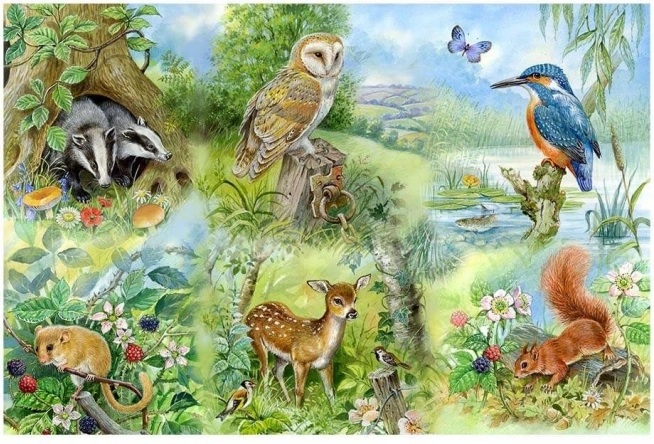 Puzzle Studiul naturii 250 piese