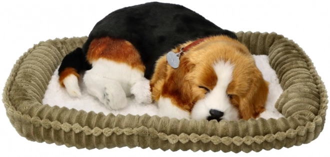 Cățeluș Relaxant Beagle