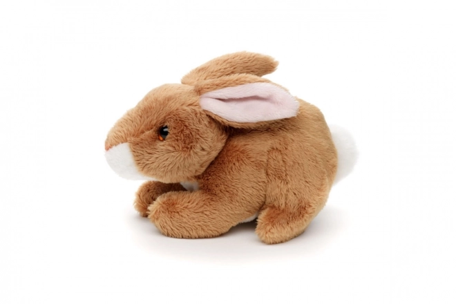Iepure de pluș 15cm
