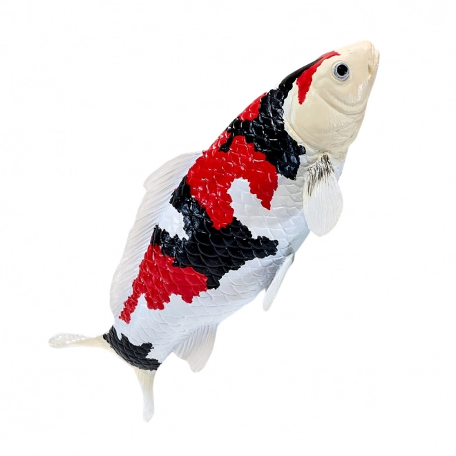 Mojo crap koi showa sanshoku