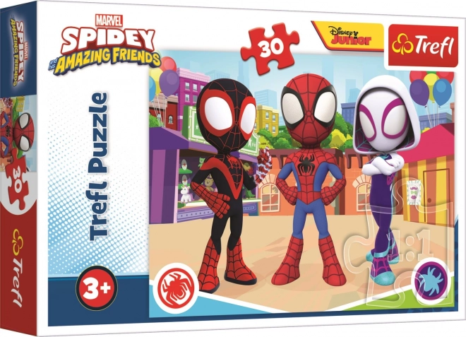 Puzzle Spidey și prietenii săi