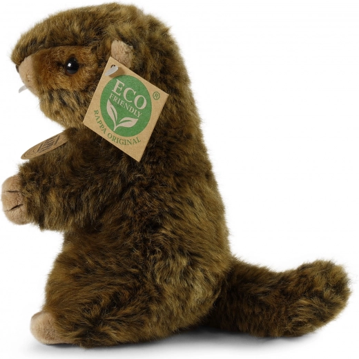 Design realist și adorabil