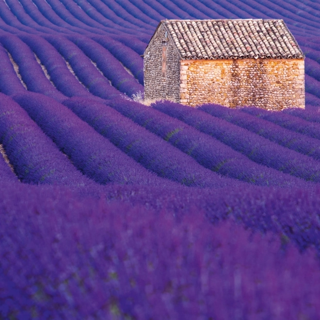 Calendar de notițe Provence 2026