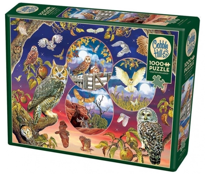 Puzzle Cobble Hill Magia Bufnițelor 1000 piese