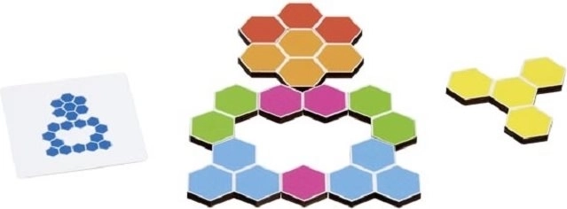 Puzzle din lemn Goki Testoasă
