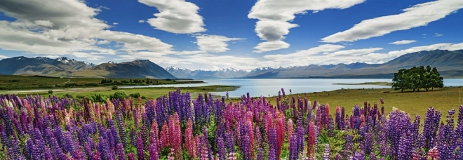 Puzzle panoramic Lacul Tekapo Noua Zeelandă 1000 piese